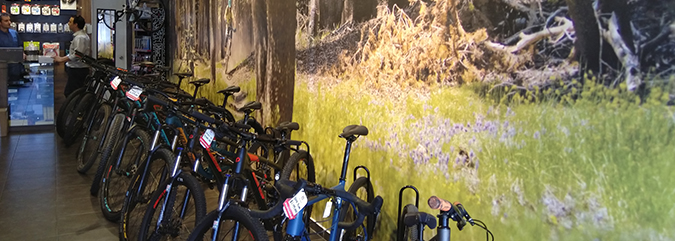 Third slide [800x400]